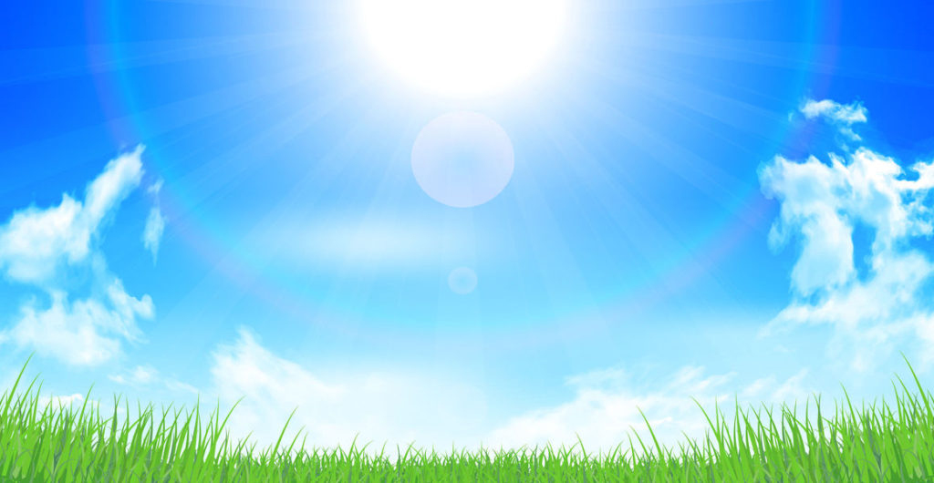 自力整体2020年7月